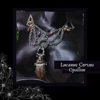 Image 1 of ☽ Lucanus Opallion ☾