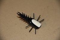 Image of CK Topwater Bug Template
