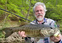 Image of CK Baitfish Tails