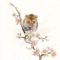Kay Johns "Blossom"