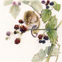 Kay Johns "Blackberry Mouse"