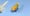 Image of CK Topwater Bug Template