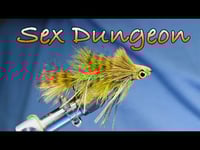 Image of Galloup's Sex Dungeon