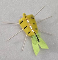 Image of Jim Richmond Excalibur Bugs