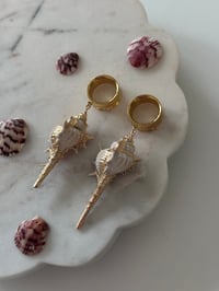 Image 2 of Siren’s Spiky Conch Shells (Gold) 