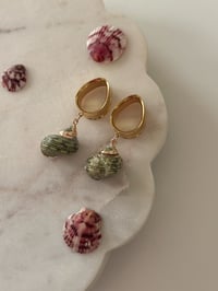 Image 1 of Jade Spiral Seashells (Gold)