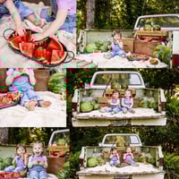 **deposit only**—Watermelon Minis Saturday June 27th