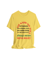 Image 1 of "Doing the right thing, Doesn't always mean being right" Clothing with meaning by Myz T's 5 - 5XL