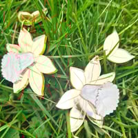 Image 1 of Gold Daffodil Earrings 