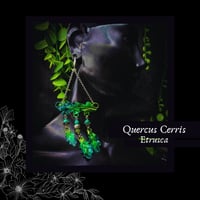 Image 1 of ☽ Quercus Etrusca ☾