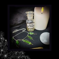 Image 2 of ☽ Sambucus Nero Viridium ☾