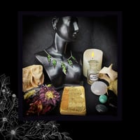 Image 3 of ☽ Sambucus Nero Viridium ☾