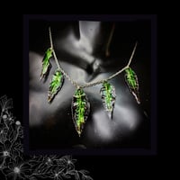 Image 5 of ☽ Sambucus Nero Viridium ☾