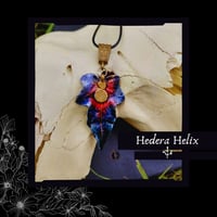 Image 4 of ☽ Hedera Helix ☾