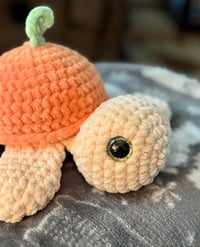 Image 2 of Clementine Sea Turtle 