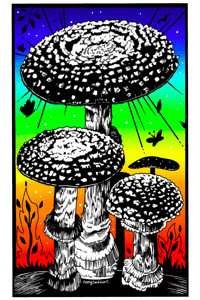 Psychedelic Trip Sticker 