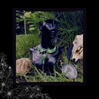 Image 2 of ☽ Datura Strega ☾