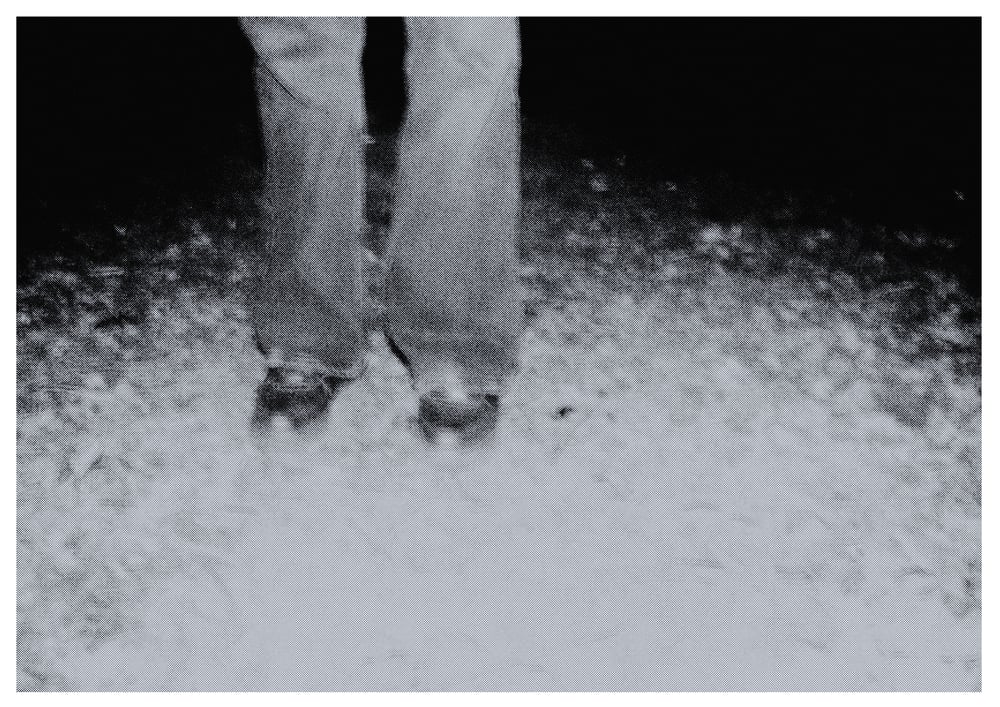 Image of Forêt - Andy