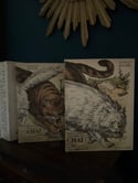 Magnifiques livres de Juliette Raabe, Bibliothèque illustrée du Chat, 1977. 2 tomes avec carton.