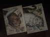 Magnifiques livres de Juliette Raabe, Bibliothèque illustrée du Chat, 1977. 2 tomes avec carton.
