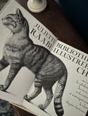 Magnifiques livres de Juliette Raabe, Bibliothèque illustrée du Chat, 1977. 2 tomes avec carton.