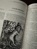 Magnifiques livres de Juliette Raabe, Bibliothèque illustrée du Chat, 1977. 2 tomes avec carton.