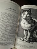 Magnifiques livres de Juliette Raabe, Bibliothèque illustrée du Chat, 1977. 2 tomes avec carton.