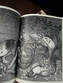 Magnifiques livres de Juliette Raabe, Bibliothèque illustrée du Chat, 1977. 2 tomes avec carton.