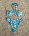 Caribbean Strapless / Mid-Rise