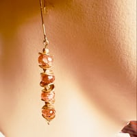 Image 1 of #316 Earrings 