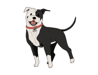 Image 5 of Pitbull Sticker