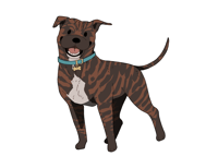 Image 4 of Pitbull Sticker