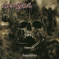 Image 2 of FLESHCRAWL - "Soulskinner" CD