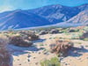 Palm Springs Dune Country 