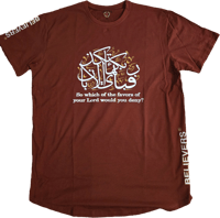 Image 2 of So which of the favors of your Lord would you deny?