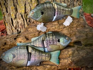 Image of 6” Ann XSlowSink (Clearwater Gill)