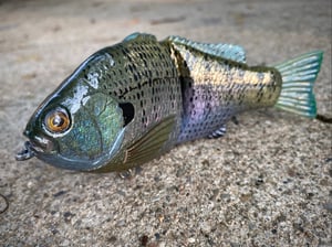 Image of 6” Ann XSlowSink (Clearwater Gill)