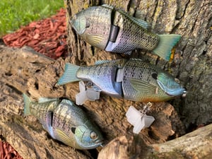 Image of 6” Ann XSlowSink (Clearwater Gill)
