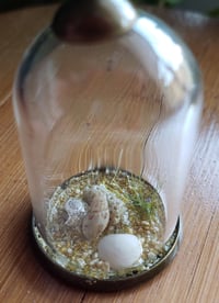 Image 4 of Lakeland Diorama Charm