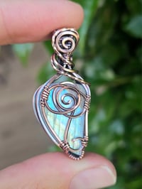 Image 2 of Rainbow Moonstone Rose 