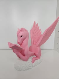 Image 1 of Pegasus Book Display