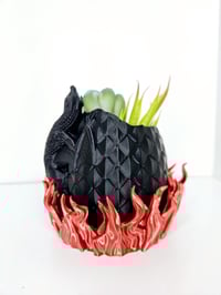 Image 1 of Dragon Egg Planter with Flame Catch Tray