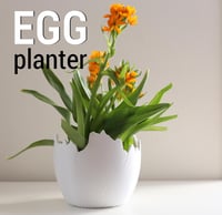Image 1 of Eggshell-Inspired Broken Egg Planter