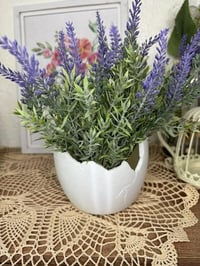 Image 3 of Eggshell-Inspired Broken Egg Planter