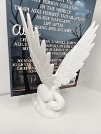 Image 4 of Pegasus Book Display