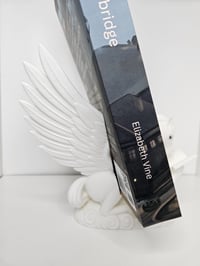 Image 5 of Pegasus Book Display