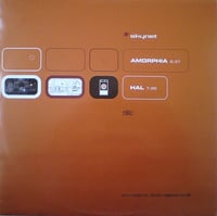 Skynet – Amorphia / HAL (D&B - Used)