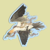 northern gannet sticker
