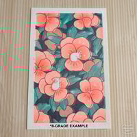 Image 3 of nasturtiums [riso print]