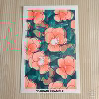 Image 4 of nasturtiums [riso print]